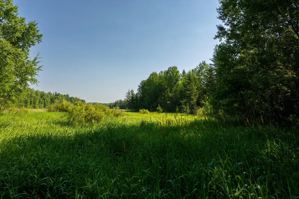 39794 259th Avenue Menahga, MN 56464