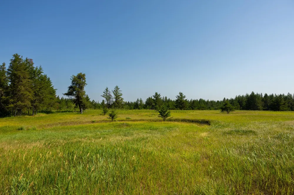 39794 259th Avenue Menahga, MN 56464