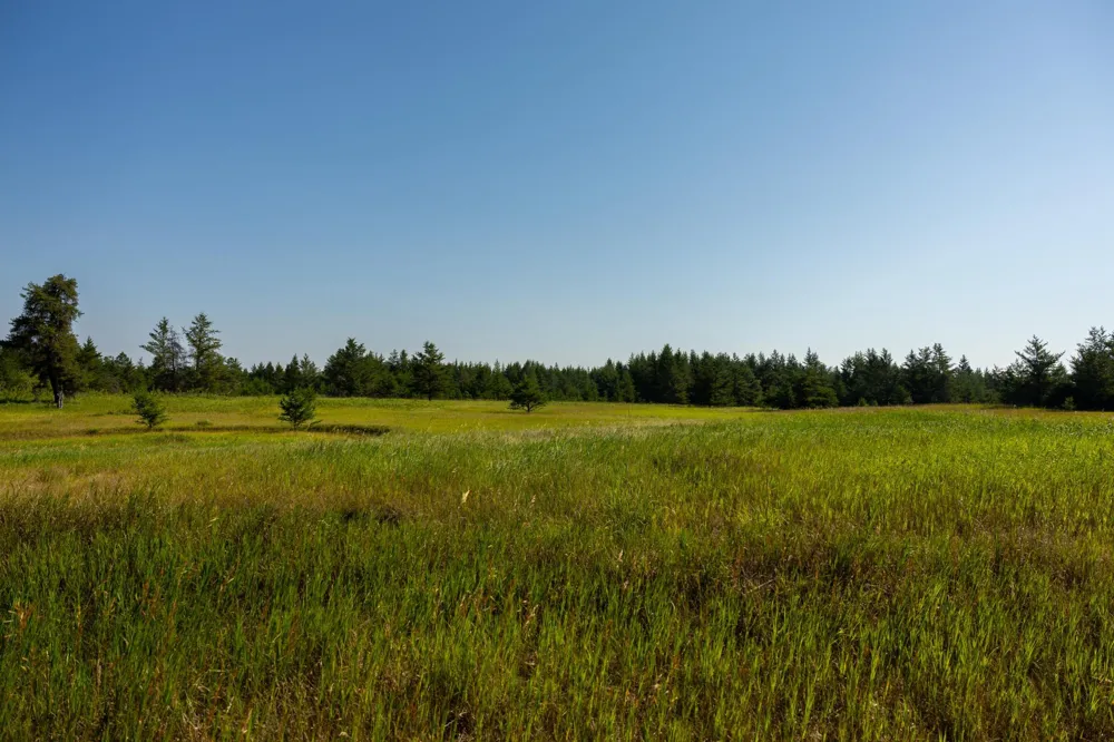 39794 259th Avenue Menahga, MN 56464