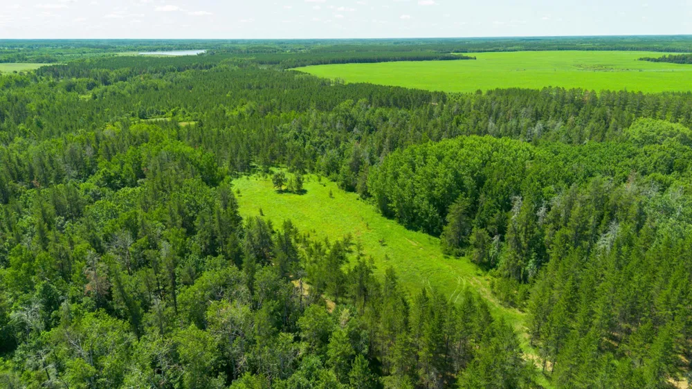 39794 259th Avenue Menahga, MN 56464