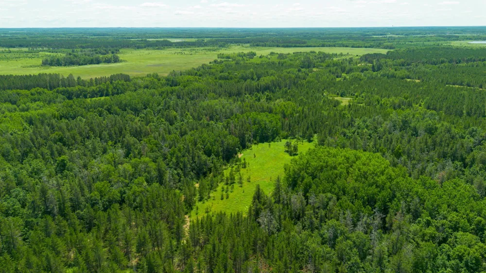 39794 259th Avenue Menahga, MN 56464