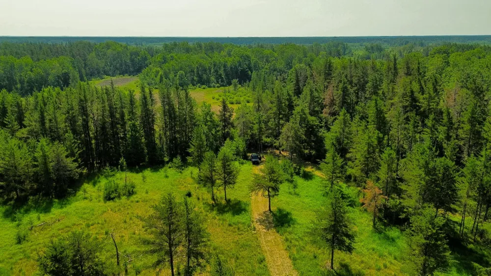 39794 259th Avenue Menahga, MN 56464