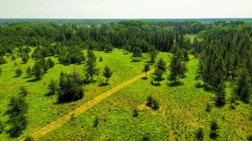 39794 259th Avenue Menahga, MN 56464