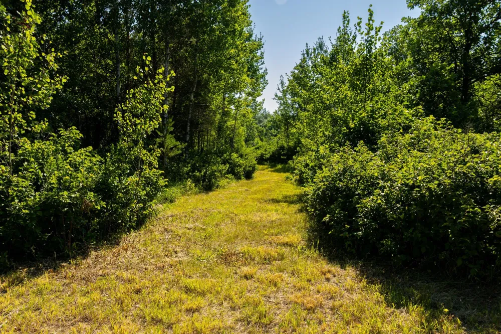 39794 259th Avenue Menahga, MN 56464