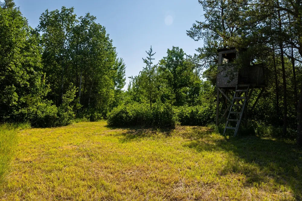 39794 259th Avenue Menahga, MN 56464
