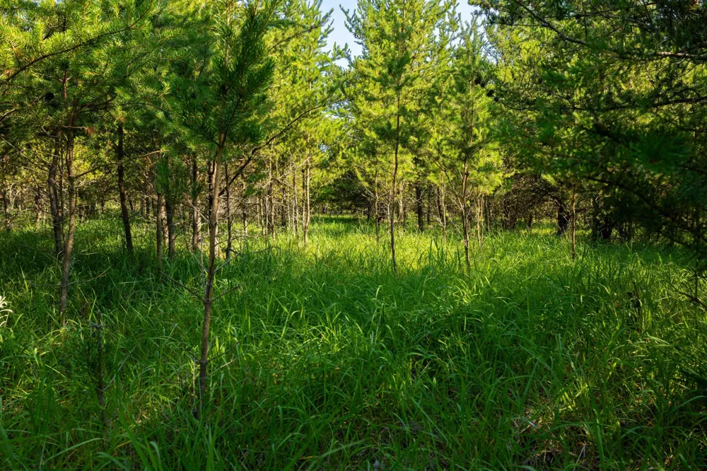 39794 259th Avenue Menahga, MN 56464
