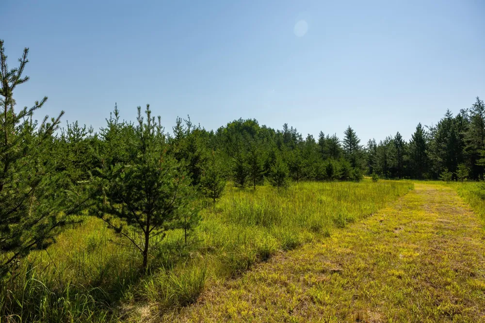 39794 259th Avenue Menahga, MN 56464