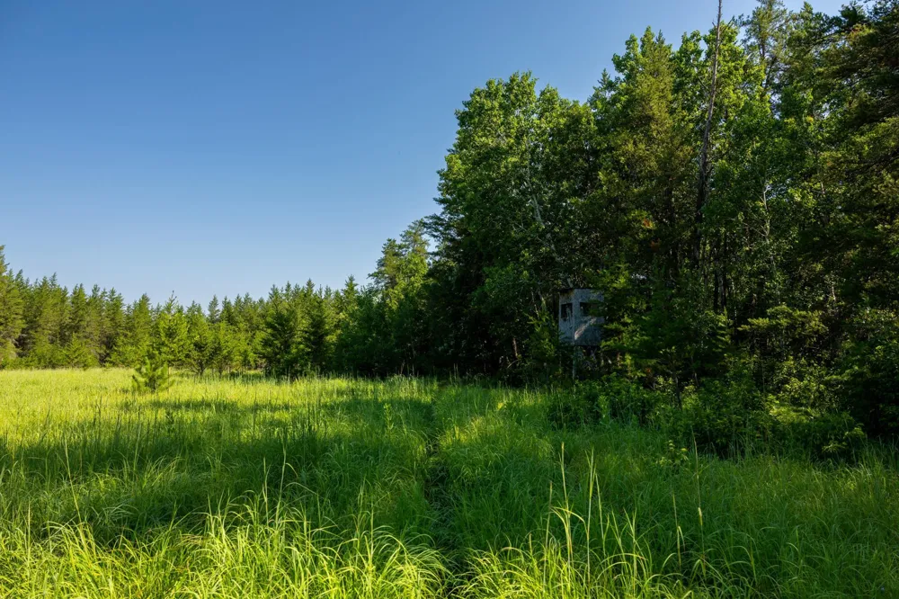 39794 259th Avenue Menahga, MN 56464