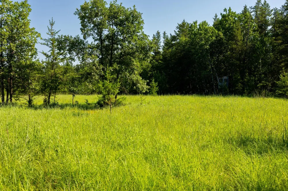39794 259th Avenue Menahga, MN 56464