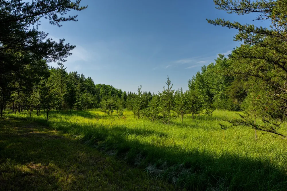 39794 259th Avenue Menahga, MN 56464