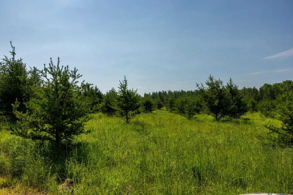 39794 259th Avenue Menahga, MN 56464