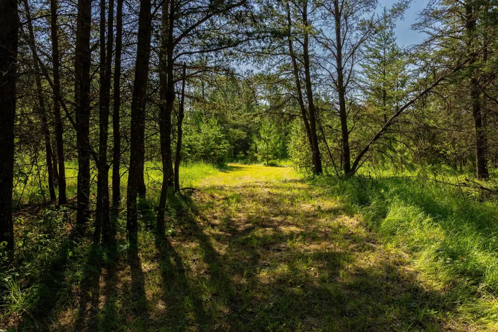 39794 259th Avenue Menahga, MN 56464