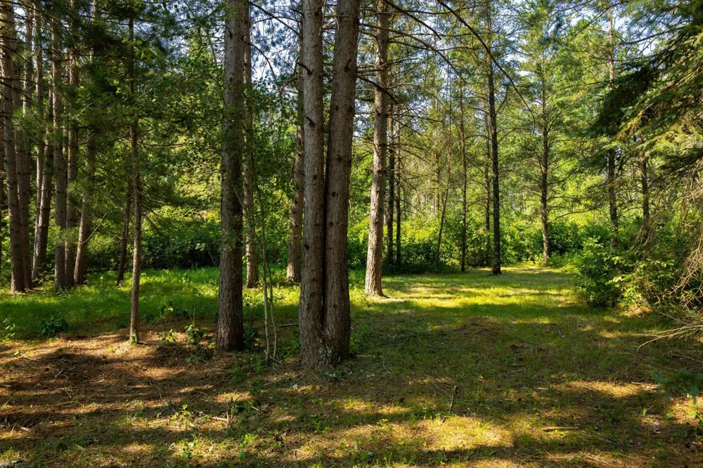 39794 259th Avenue Menahga, MN 56464