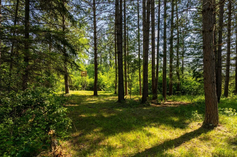 39794 259th Avenue Menahga, MN 56464