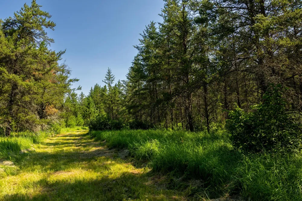 39794 259th Avenue Menahga, MN 56464