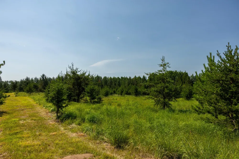 39794 259th Avenue Menahga, MN 56464