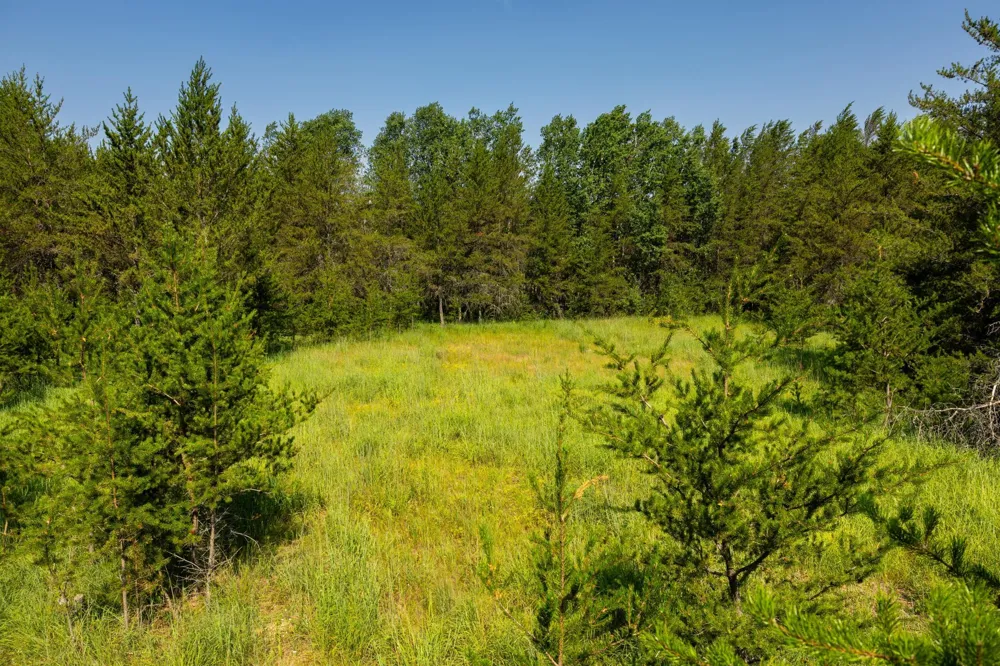 39794 259th Avenue Menahga, MN 56464