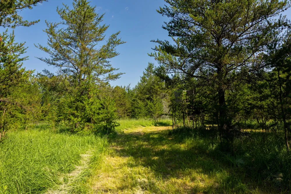 39794 259th Avenue Menahga, MN 56464