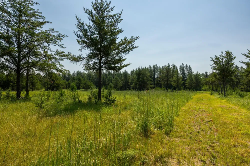 39794 259th Avenue Menahga, MN 56464