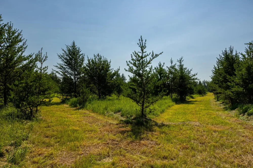 39794 259th Avenue Menahga, MN 56464