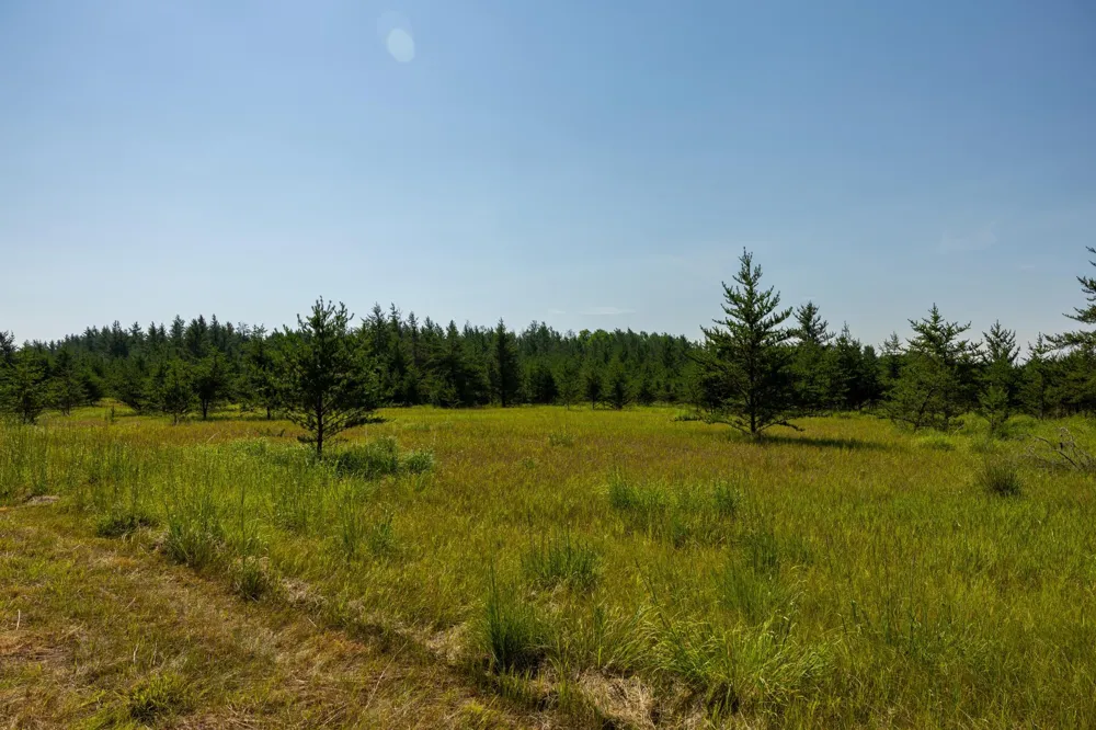 39794 259th Avenue Menahga, MN 56464
