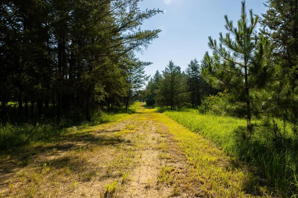 39794 259th Avenue Menahga, MN 56464