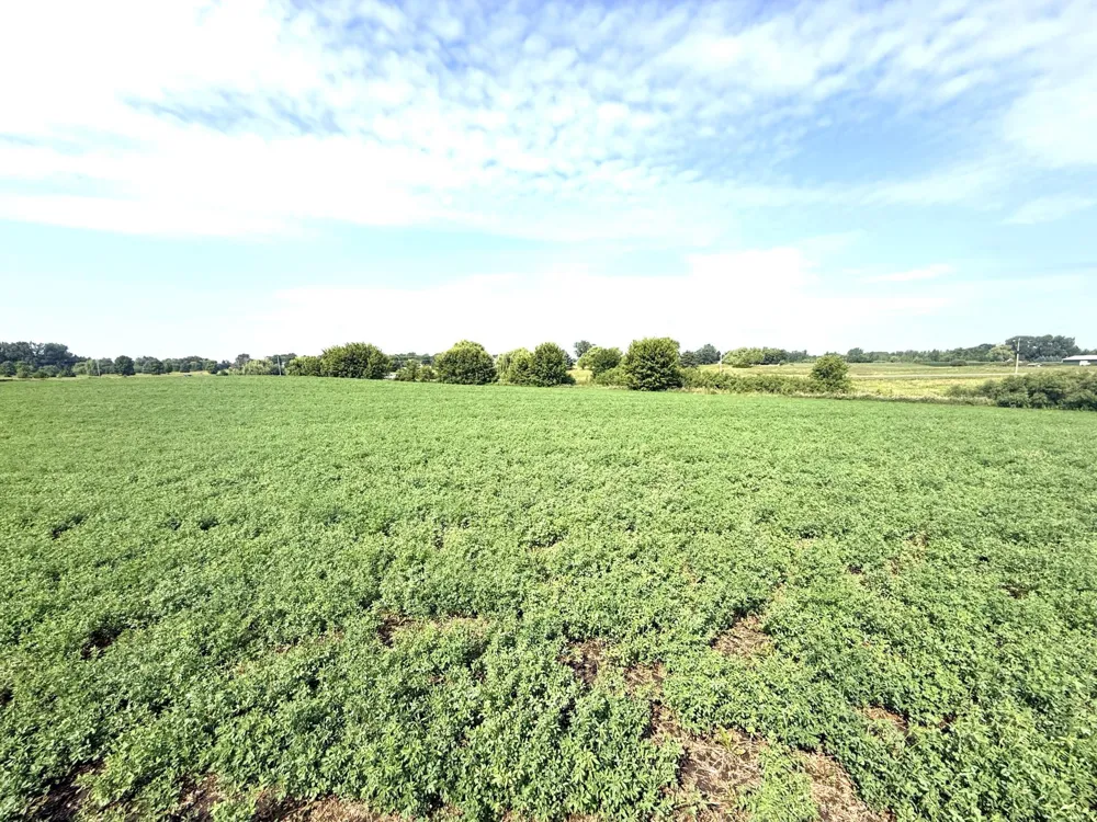 TBD County Road 7 Howard Lake, MN 55349