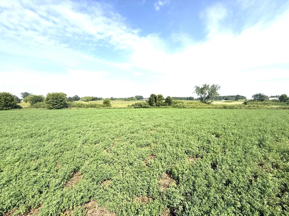 TBD County Road 7 Howard Lake, MN 55349
