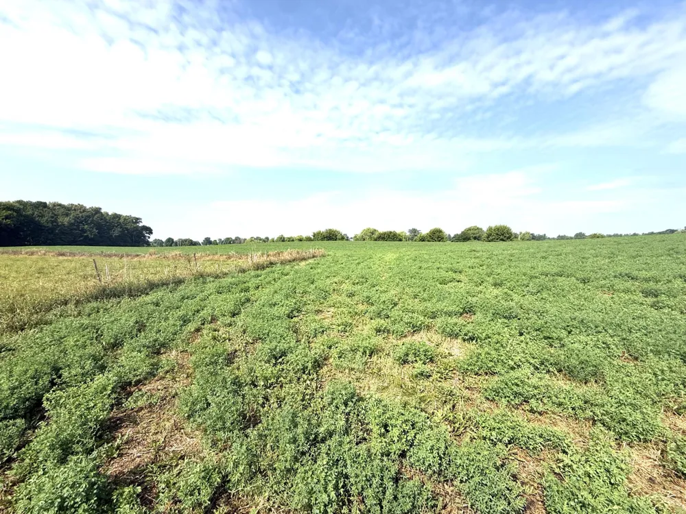 TBD County Road 7 Howard Lake, MN 55349