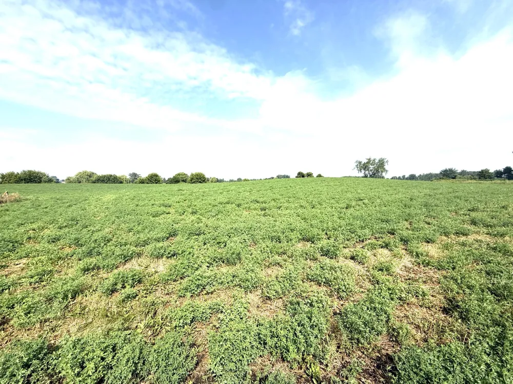 TBD County Road 7 Howard Lake, MN 55349