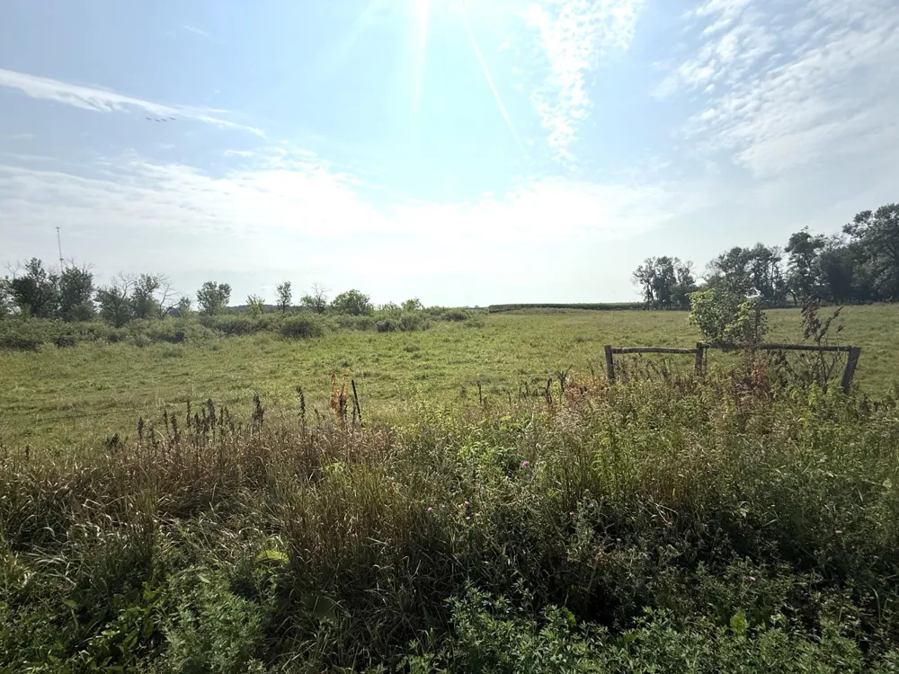 TBD County Road 7 Howard Lake, MN 55349