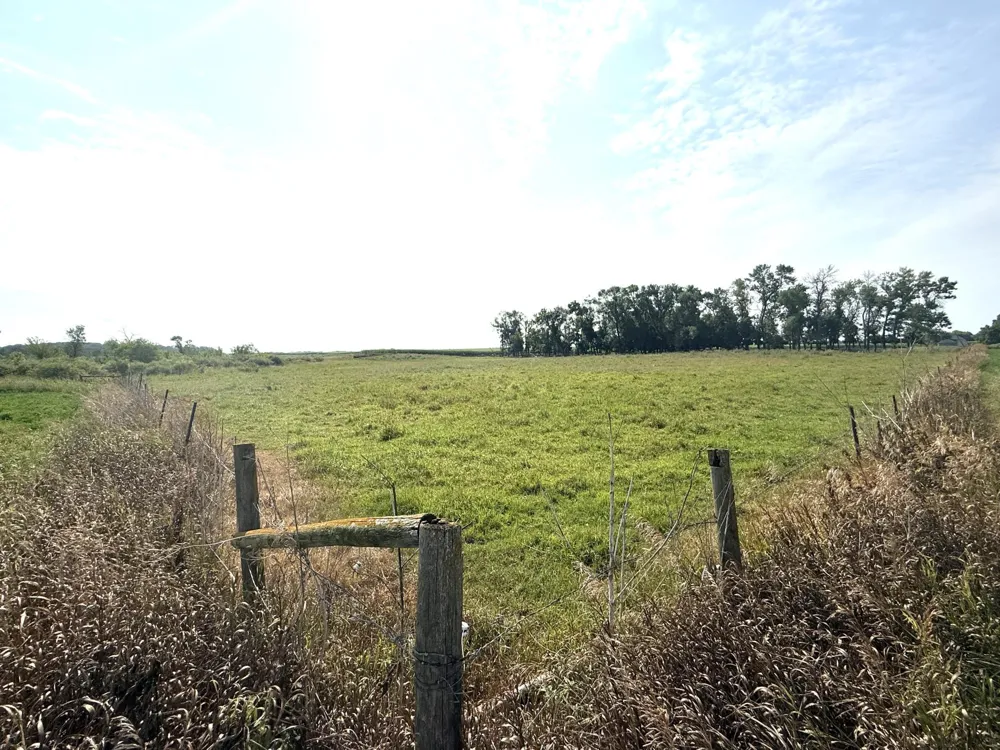 TBD County Road 7 Howard Lake, MN 55349