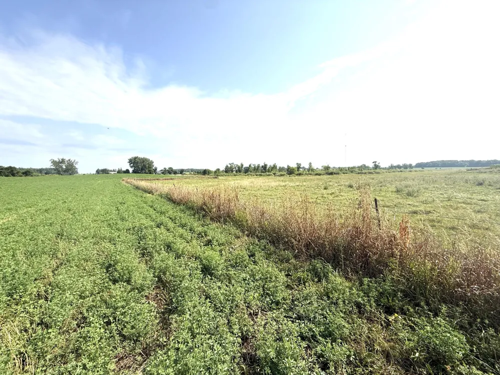 TBD County Road 7 Howard Lake, MN 55349