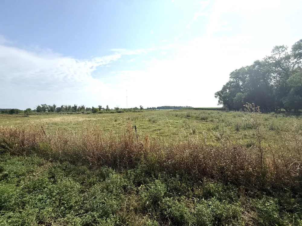 TBD County Road 7 Howard Lake, MN 55349