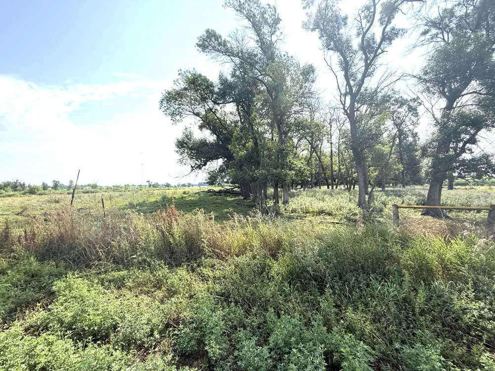 TBD County Road 7 Howard Lake, MN 55349