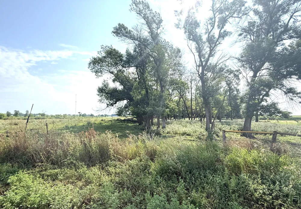 TBD County Road 7 Howard Lake, MN 55349