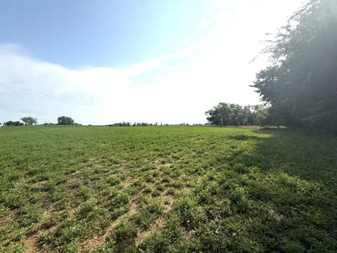 TBD County Road 7