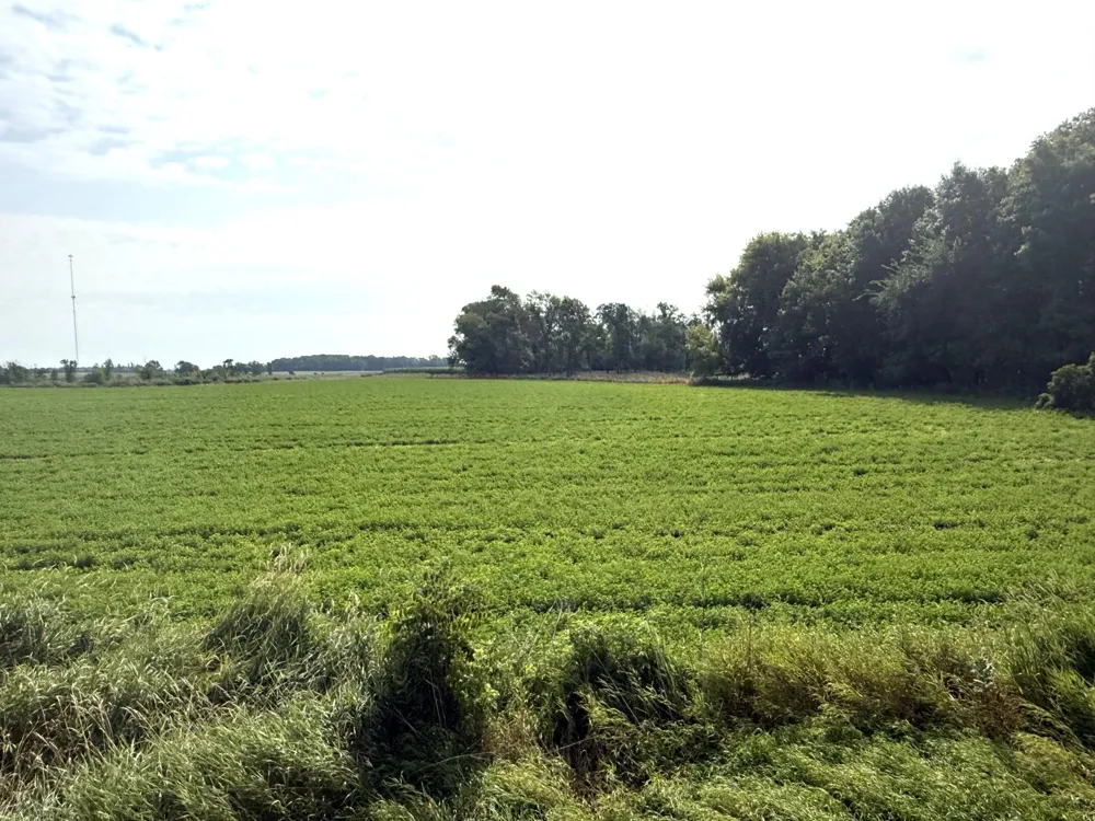 TBD County Road 7 Howard Lake, MN 55349