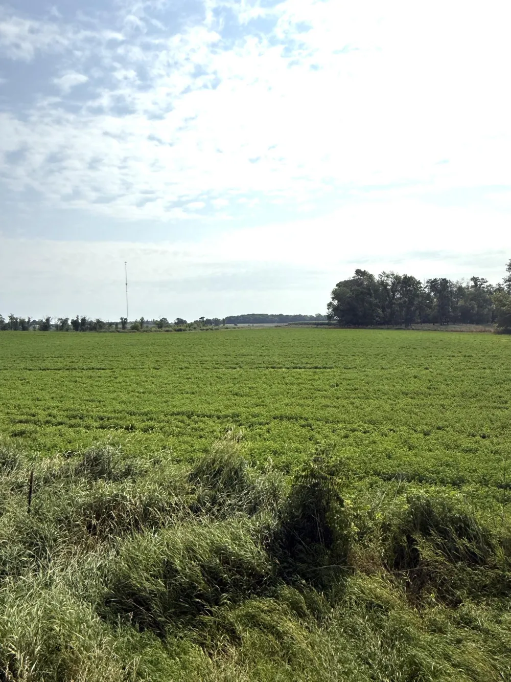 TBD County Road 7 Howard Lake, MN 55349