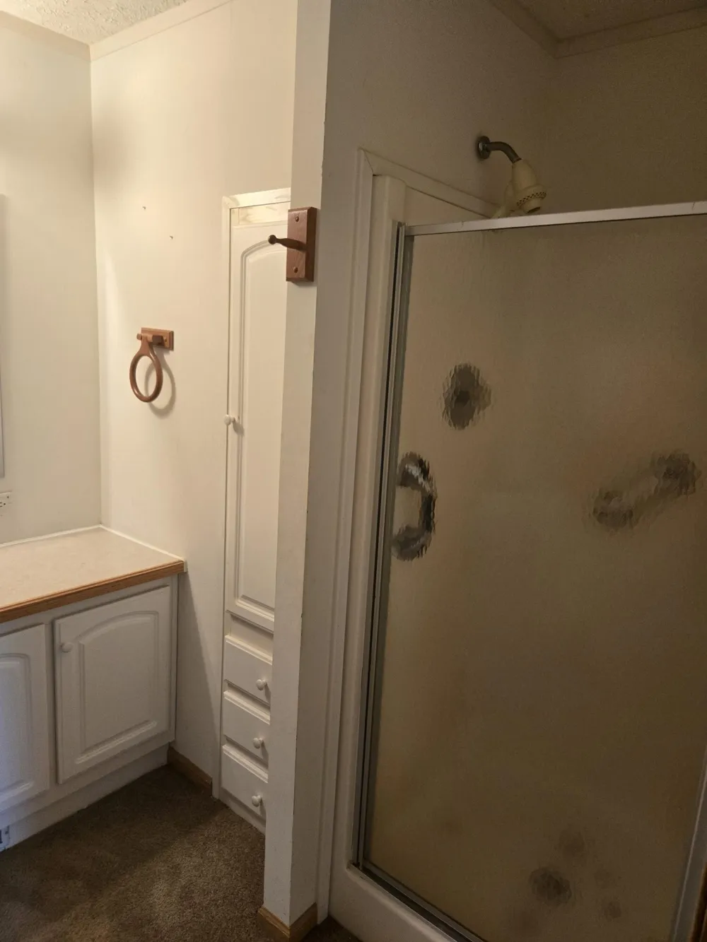 17721 Lewis Road Cement City, MI 49233