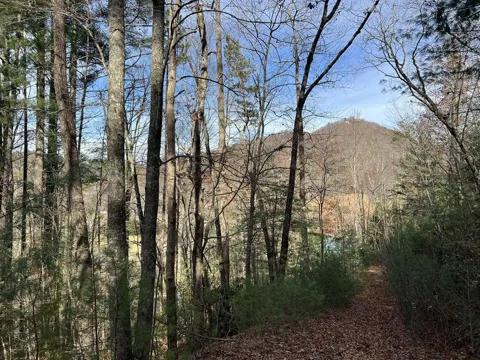 0 Downings Creek Road