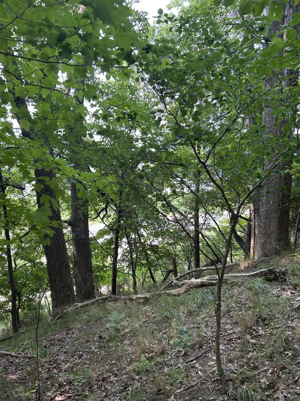Longbridge West lot 7 Pentwater, MI 49449