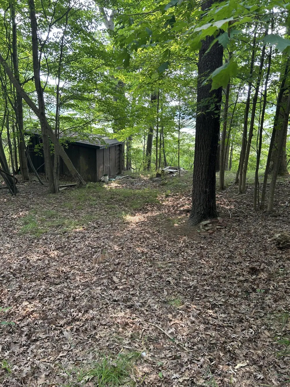 Longbridge West lot 7 Pentwater, MI 49449