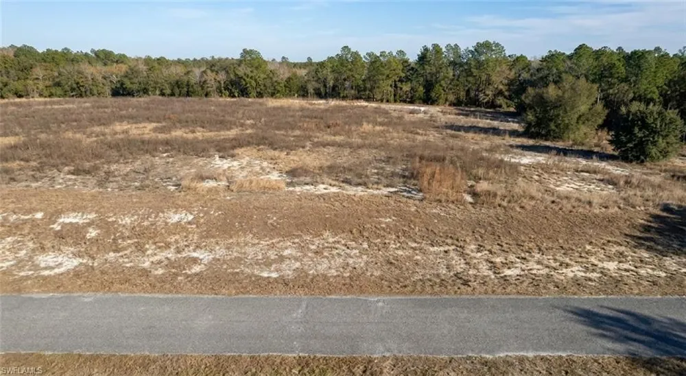 SE 136th Terrace Morriston, FL 32668
