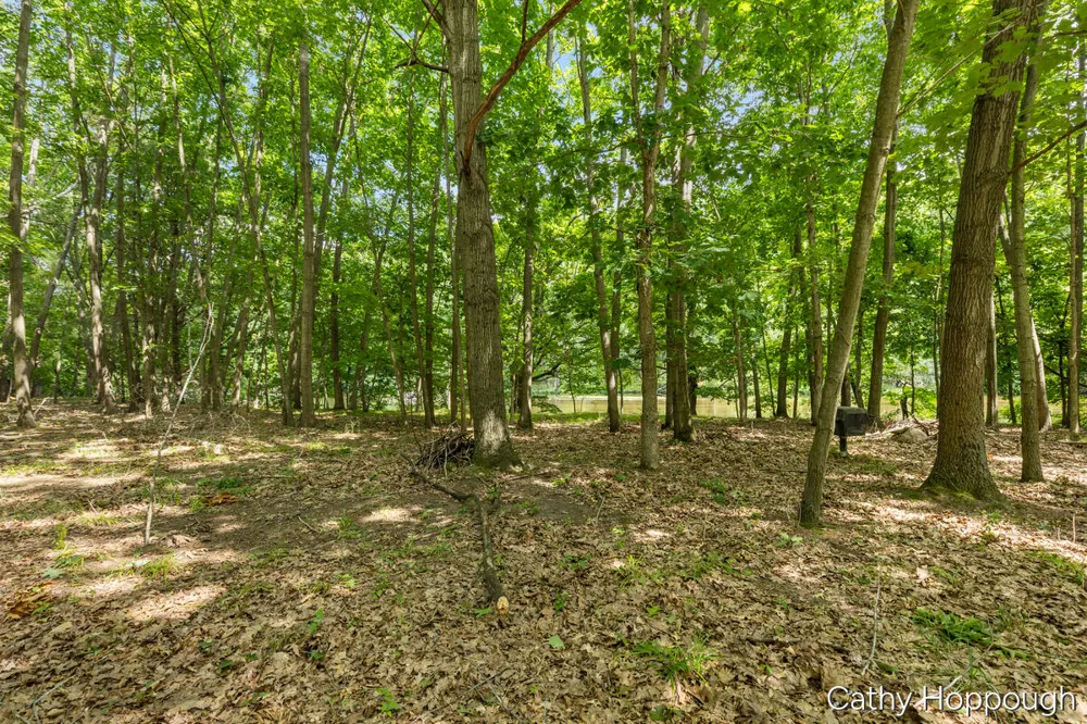 8687 River Run Trail Greenville, MI 48838
