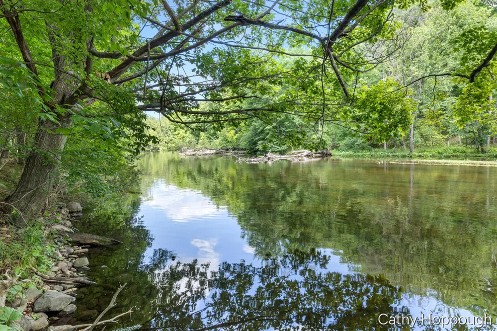 8687 River Run Trail Greenville, MI 48838
