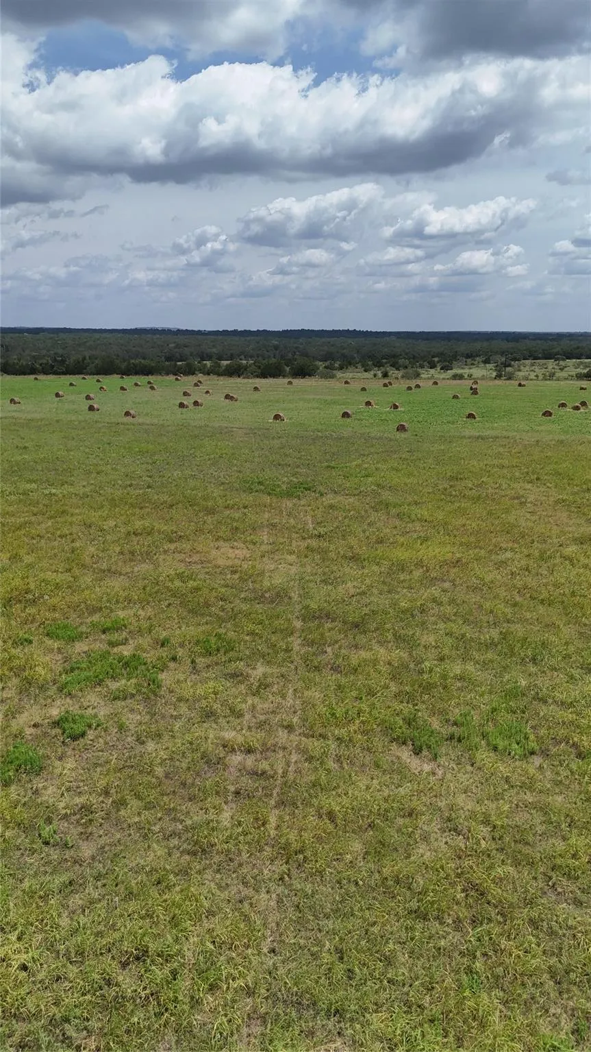 205 Saint Delight Road Paige, TX 78659