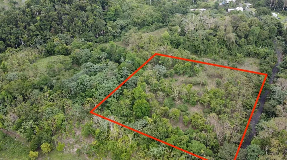 BO. CIDRAL PR-450 San Sebastian, PR 00685