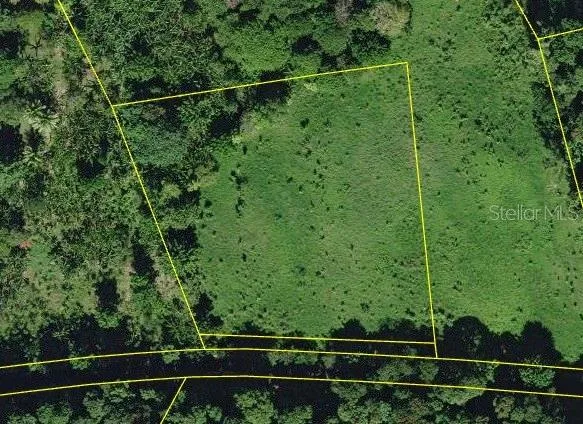 BO. CIDRAL PR-450 San Sebastian, PR 00685