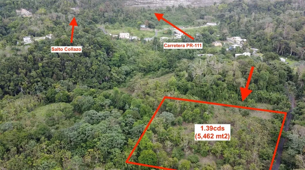 BO. CIDRAL PR-450 San Sebastian, PR 00685